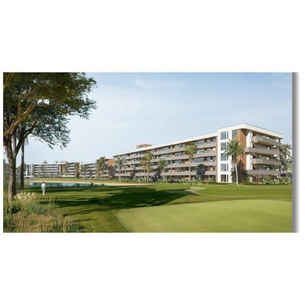 Palm View | Dinarys Silvestre