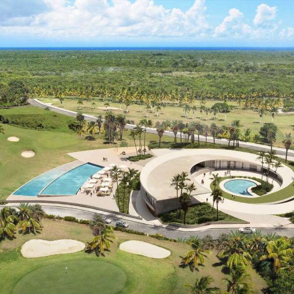 palm view