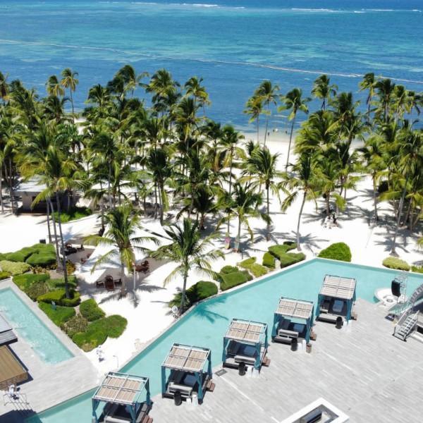 palm view